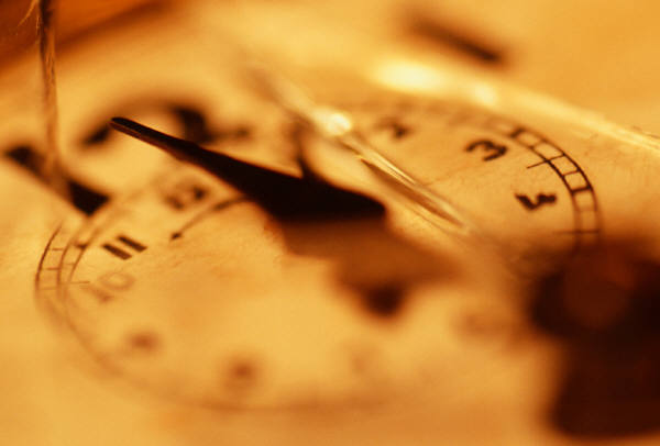 Daring Myself as an Instant&nbsp;Mom